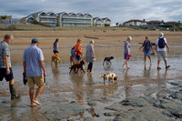 Cooden Beach Dog Walk 6th August 2020